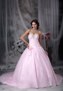 Baby Pink Floral Beading Court Train Quinceanera Dresses