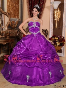 Purple Ball Gown Strapless Floor-length Organza Appliques Quinceanera Dress
