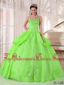 Spring Green Ball Gown Spaghetti Straps Floor-length Taffeta and Organza Appliques Quinceanera Dress