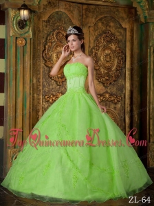 Spring Green Ball Gown Strapless Floor-length Appliques Organza Quinceanera Dress