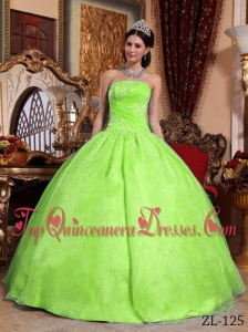 Yellow Green Ball Gown Strapless Floor-length Organza Appliques Quinceanera Dress