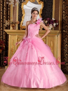 Pink Ball Gown One Shoulder Floor-length Appliques Tulle Quinceanera Dress