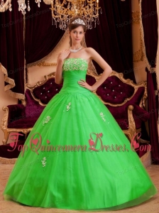 Spring Green A-line / Princess Strapless Floor-length Appliques Tulle Quinceanera Dress