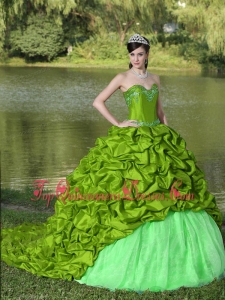 Appliques and Pick-ups Spring Green Brush Train Exquisite Style For 2013 Quinceanera Dress