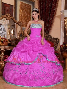 Hot Pink Ball Gown Strapless Floor-length Organza Appliques Quinceanera Dress