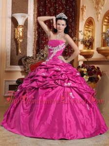 Hot Pink Ball Gown Strapless Floor-length Taffeta Appliques Quinceanera Dress