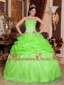 Spring Green Ball Gown Strapless Floor-length Organza Appliques Quinceanera Dress