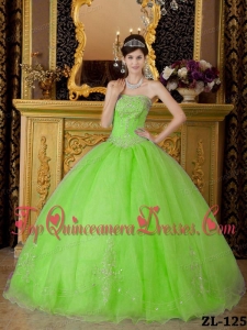Spring Green Ball Gown Strapless Floor-length Organza Beading Quinceanera Dress