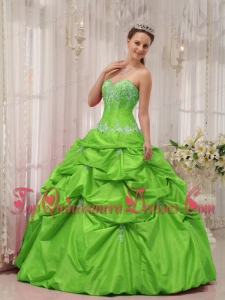 Spring Green Ball Gown Sweetheart Floor-length Taffeta Appliques Quinceanera Dress