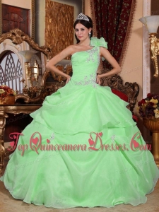 Green Ball Gown One Shoulder Floor-length Organza Appliques Quinceanera Dress