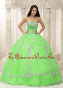 Green Sweetheart Appliques and Beaded Decorate For 2013 Quinceanera Dress