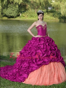 Appliques and Pick-ups Fuchsia Brush Train Exquisite Style For 2013 Quinceanera Dress