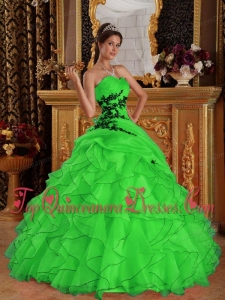 Green Ball Gown Sweetheart Floor-length Organza Appliques Quinceanera Dress