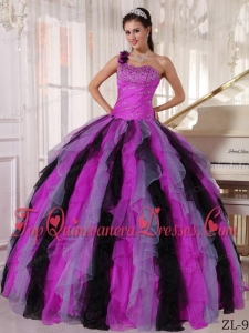 Multi-colored Ball Gown One Shoulder Floor-length Organza Beading and Ruffles Quinceanera Gowns