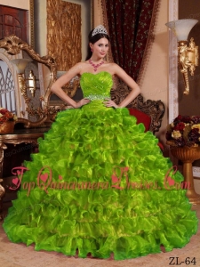 Spring Green Ball Gown Sweetheart Floor-length Organza Beading Quinceanera Dress