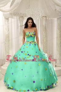 Apple Green Ball Gown 2013 Discount Quninceaera Gown For Custom Made Appliques Decorate Bodice