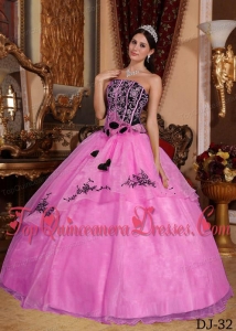 Hot Pink and Black Strapless Floor-length Embroidery Perfect Quinceanera Dress