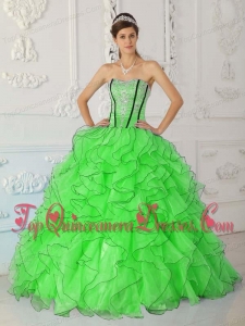 New Style Spring Green Ball Gown Strapless Floor-length Organza Appliques Quinceanera Dress