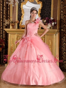 Watermelon Ball Gown One Shoulder Floor-length Appliques Tulle Perfect Quinceanera Dress