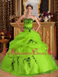 Yellow Green Ball Gown Sweetheart Floor-length Satin and Organza Embroidery Perfect Quinceanera Dress