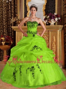 Yellow Green Ball Gown Sweetheart Floor-length Satin and Organza Embroidery Perfect Quinceanera Dress