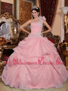 Pink Ball Gown One Shoulder Floor-length Organza Appliques Perfect Quinceanera Dress