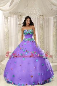 Popular Purple Ball Gown 2013 Quninceaera Gown For Custom Made Appliques Decorate Bodice