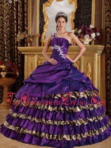 Dark Purple Ball Gown One Shoulder Floor-length Taffeta and Leopard Appliques Unique Quinceanera Dress