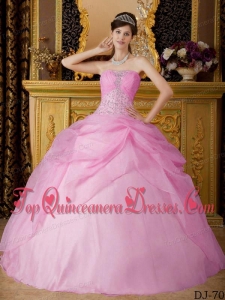 Pink Ball Gown Strapless Floor-length Organza Beading Vestidos de Quinceanera