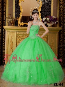 Spring Green Ball Gown Strapless Floor-length Organza Beading Vestidos de Quinceanera