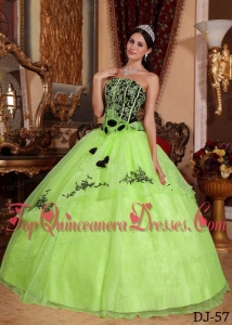 Yellow Green and Black Ball Gown Strapless Embroidery Vestidos de Quinceanera