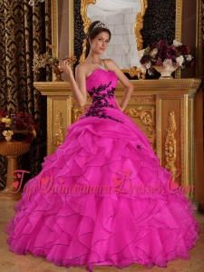 Hot Pink Ball Gown Sweetheart Floor-length Organza Appliques Vestidos de Quinceanera