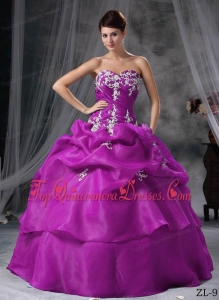 Ball Gown Sweetheart Floor-length Organza Appliques Quinceanera Dress