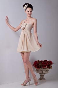 Chiffon Ruch Dama Dress Champagne One Shoulder Mini-length
