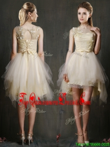 2016 See Through Scoop Champagne Dama Dress with Appliques and Belt