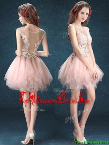 2016 See Through Scoop Baby Pink Dama Dress with Appliques and Ruffles