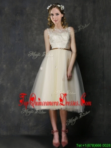 2016 Popular Scoop Champagne Dama Dress with Sashes and Lace