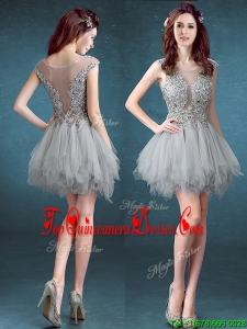 Gorgeous Scoop Appliques and Ruffles Damas Dress in Grey