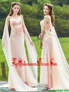 Unique Bateau Watteau Train Light Pink Damas Dress with Applique