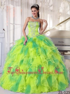 Appliques and Ruffles Ball Gown Organza Quinceanera Dress