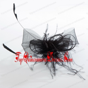 Simple Black Tulle Hairpins Birdcage Veils with Feather