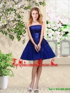 Popular Hand Made Flowers Royal Blue Dama Dresses with Appliques