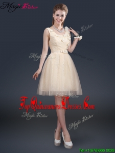 Lovely Scoop Quinceanera Dama Dresses with Appliques and Belt