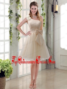 2015 Princess One Shoulder Dama Lace Bridesmaid Dresses in Champagne