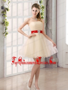 A Line Belt Strapless Dama Dress with Mini Length