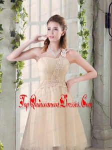 Popular A Line Appliques Dama Dress with One Shoulder