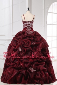 Burgundy Spaghetti Straps Appliques and Pick-ups Long Quinceanera Dress