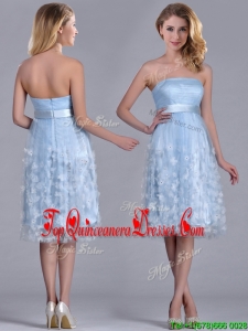 Gorgeous Empire Tea Length Applique Tulle Dama Dress in Light Blue