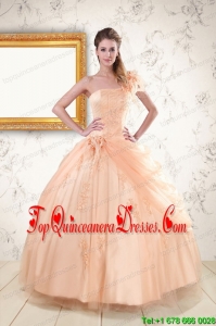 2015 New Style One Shoulder Appliques Quinceanera Dress in Peach