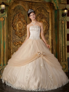 Formal Champagne Quinceanera Dress With Appliques And Flower